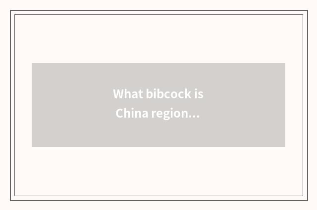 What bibcock is China region car?