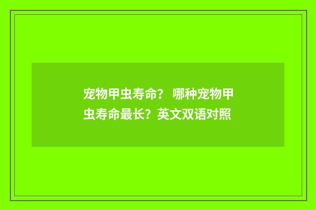宠物甲虫寿命? 哪种宠物甲虫寿命最长?英文双语对照