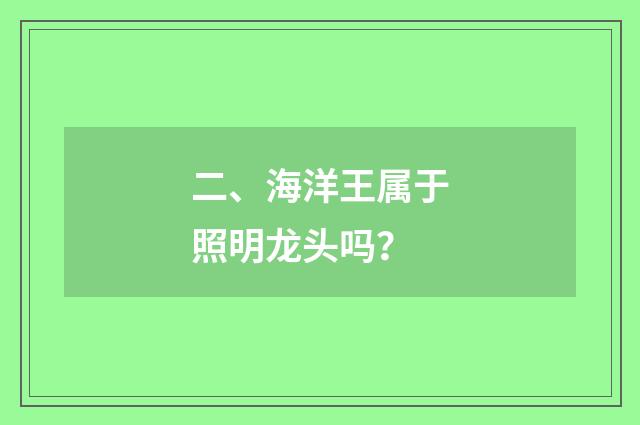 二、海洋王属于照明龙头吗?