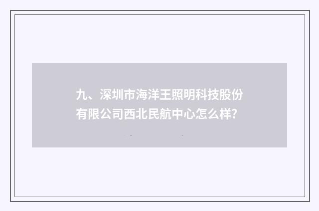 九、深圳市海洋王照明科技股份有限公司西北民航中心怎么样?