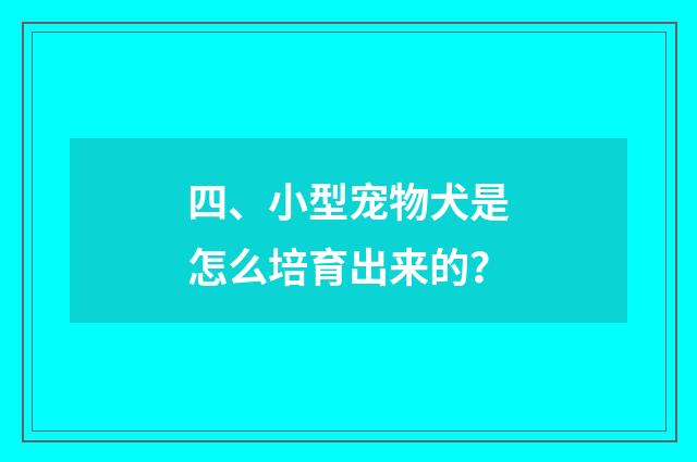 四、小型宠物犬是怎么培育出来的？