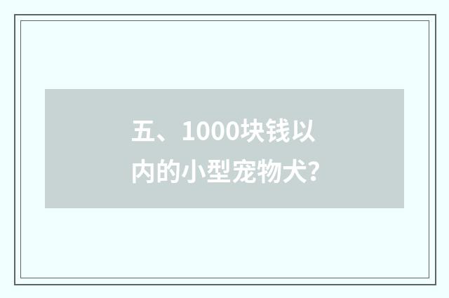 五、1000块钱以内的小型宠物犬？