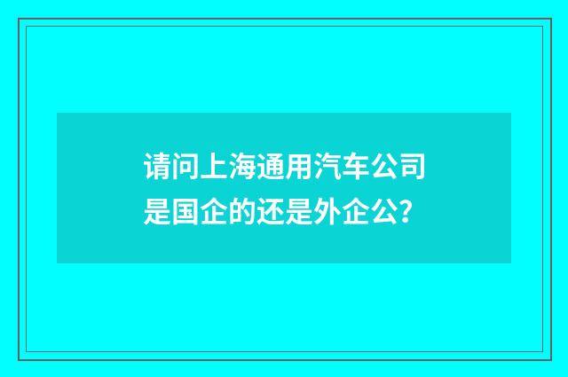 请问上海通用汽车公司是国企的还是外企公?