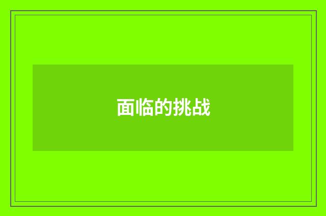 面临的挑战
