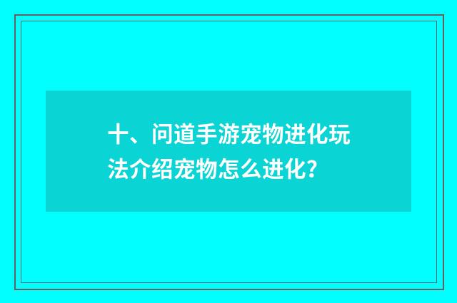 十、问道手游宠物进化玩法介绍宠物怎么进化？