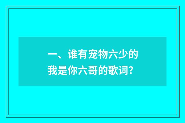 一、谁有宠物六少的我是你六哥的歌词?