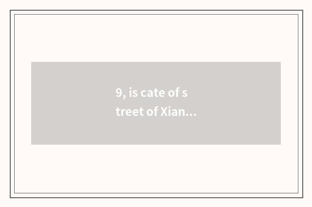 9, is cate of street of Xiang Xicun cate recommended?