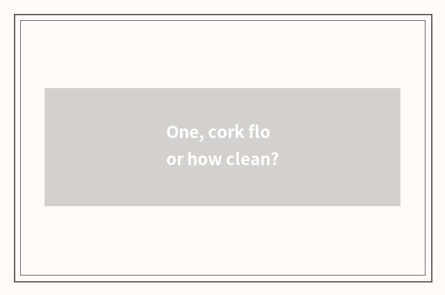 One, cork floor how clean?