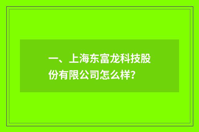 一、上海东富龙科技股份有限公司怎么样？