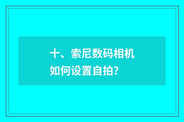 十、索尼数码相机如何设置自拍？