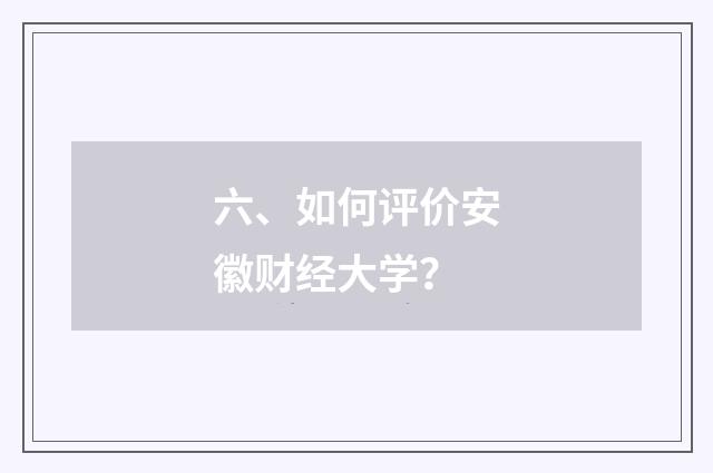 六、如何评价安徽财经大学？