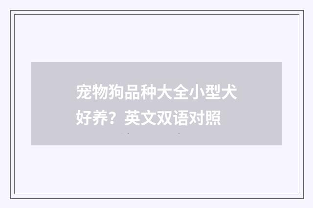 宠物狗品种大全小型犬好养?英文双语对照