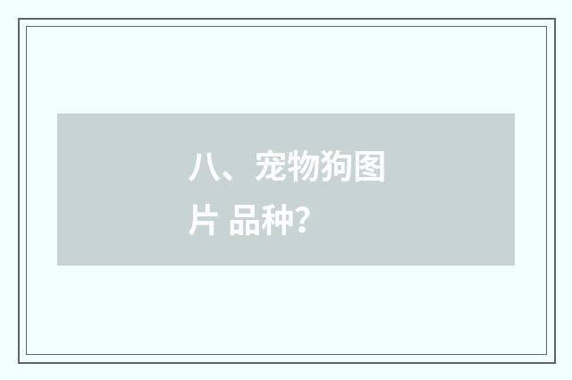 八、宠物狗图片 品种？