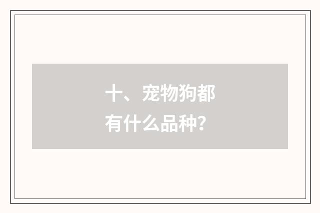 十、宠物狗都有什么品种?