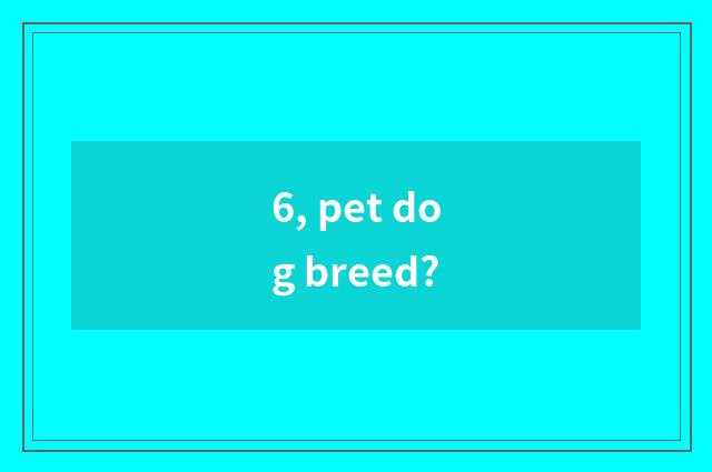 6, pet dog breed?