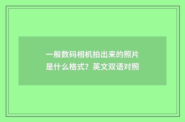 一般数码相机拍出来的照片是什么格式？英文双语对照