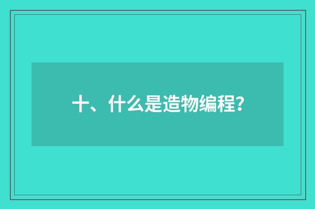 十、什么是造物编程?