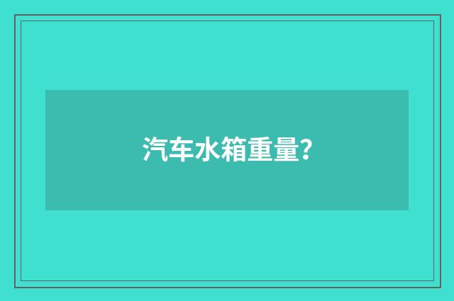 汽车水箱重量？