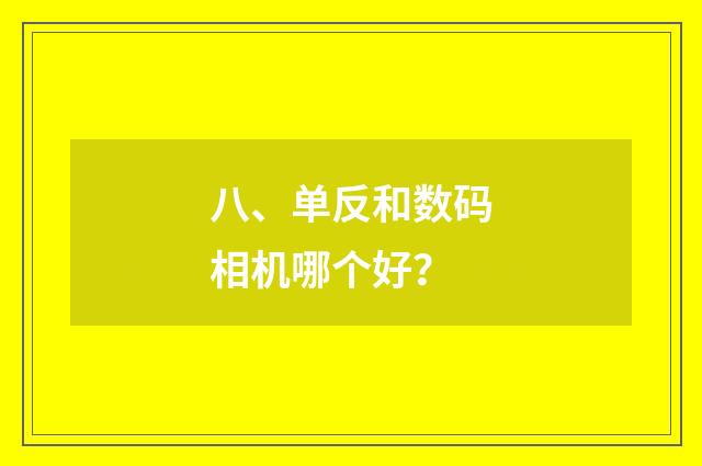 八、单反和数码相机哪个好？