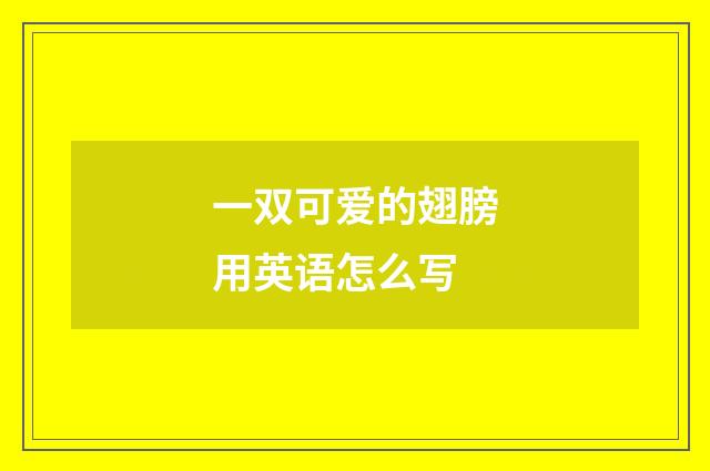 一双可爱的翅膀用英语怎么写