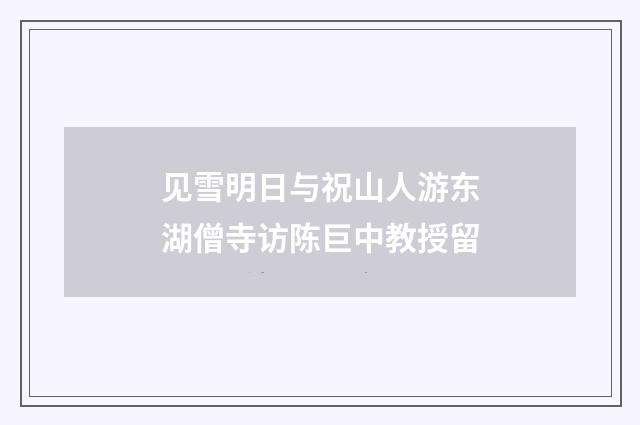 见雪明日与祝山人游东湖僧寺访陈巨中教授留