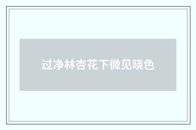 过净林杏花下微见晓色