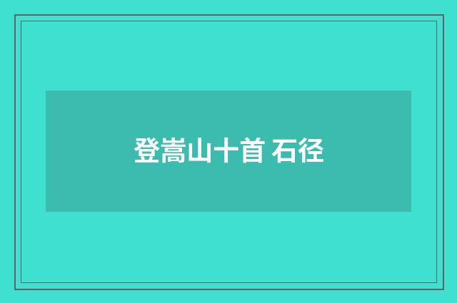 登嵩山十首 石径