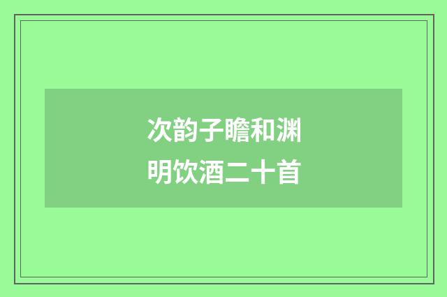 次韵子瞻和渊明饮酒二十首