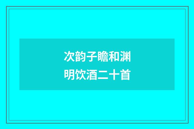 次韵子瞻和渊明饮酒二十首