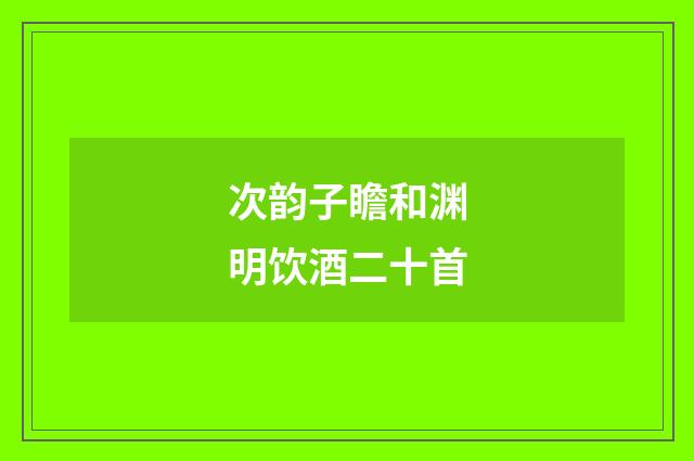 次韵子瞻和渊明饮酒二十首