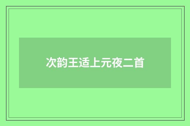 次韵王适上元夜二首