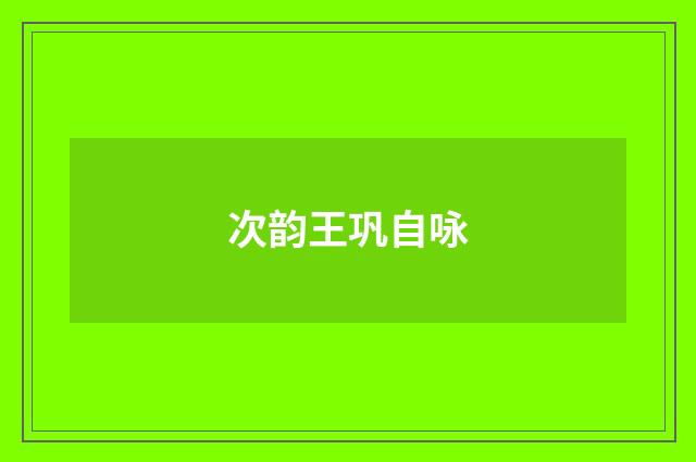 次韵王巩自咏