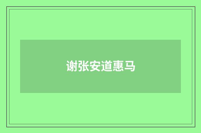谢张安道惠马