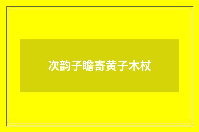 次韵子瞻寄黄子木杖