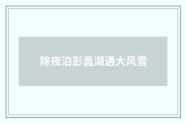 除夜泊彭蠡湖遇大风雪