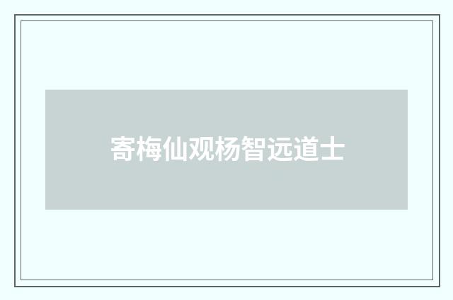 寄梅仙观杨智远道士