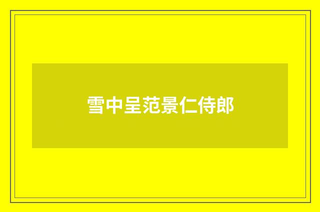 雪中呈范景仁侍郎