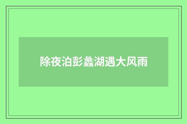 除夜泊彭蠡湖遇大风雨