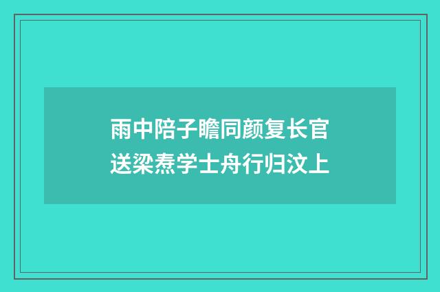 雨中陪子瞻同颜复长官送梁焘学士舟行归汶上