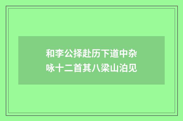 和李公择赴历下道中杂咏十二首其八梁山泊见