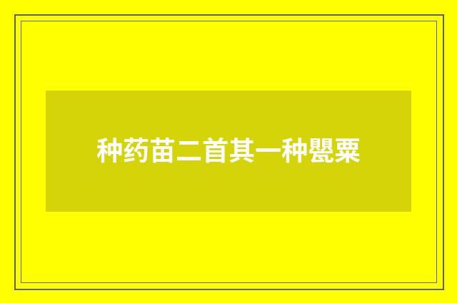 种药苗二首其一种甖粟