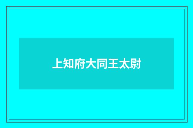 上知府大同王太尉