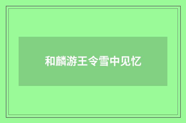 和麟游王令雪中见忆