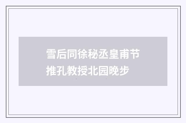 雪后同徐秘丞皇甫节推孔教授北园晚步