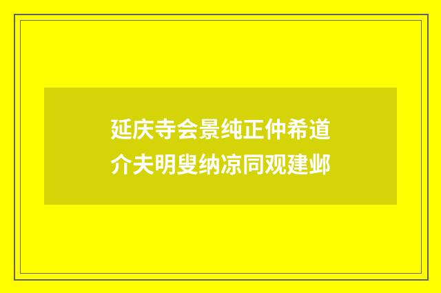 延庆寺会景纯正仲希道介夫明叟纳凉同观建邺