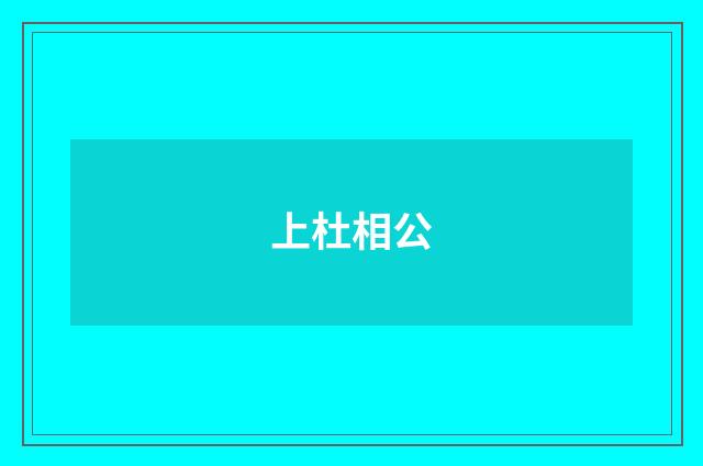 上杜相公