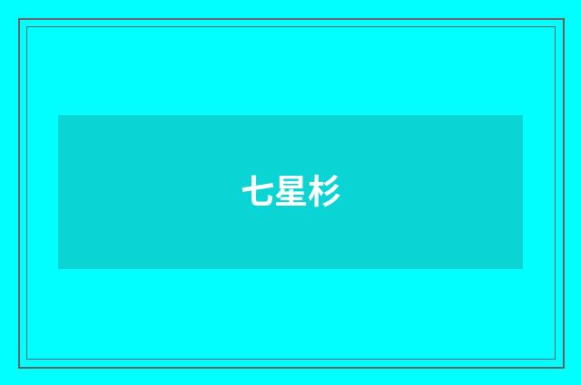 七星杉