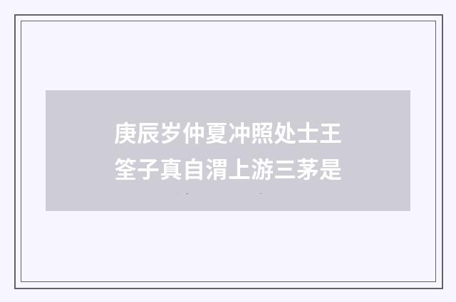 庚辰岁仲夏冲照处士王筌子真自渭上游三茅是