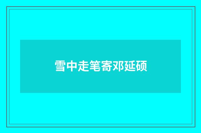 雪中走笔寄邓延硕