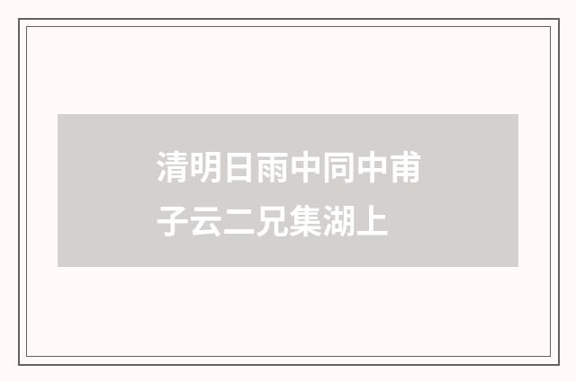 清明日雨中同中甫子云二兄集湖上